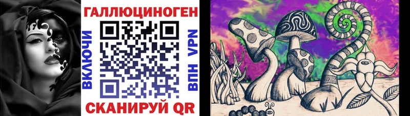 купить наркоту Каменногорск Псилоцибиновые грибы MAGIC MUSHROOMS